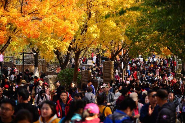 中国三峡传媒北京地区职工开展健步活动