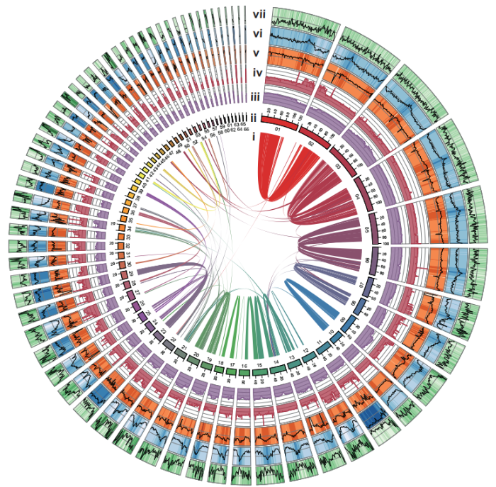 f91ad6ebe0755b0bfc06149c821339bd