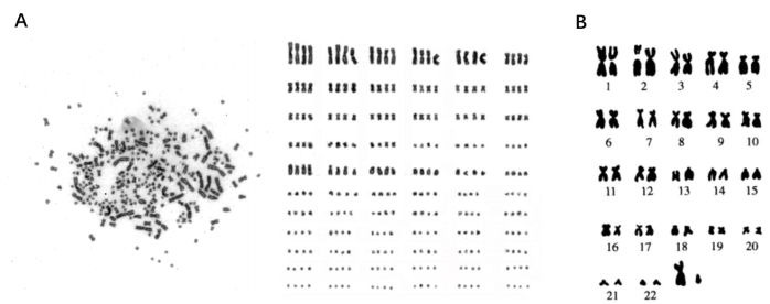 cec4e957ee4bbb7931f1e2955fba16ac